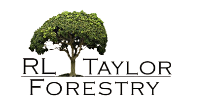 RL Taylor Forestry